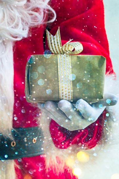 Santa in the Park 2023 (News Carousel)